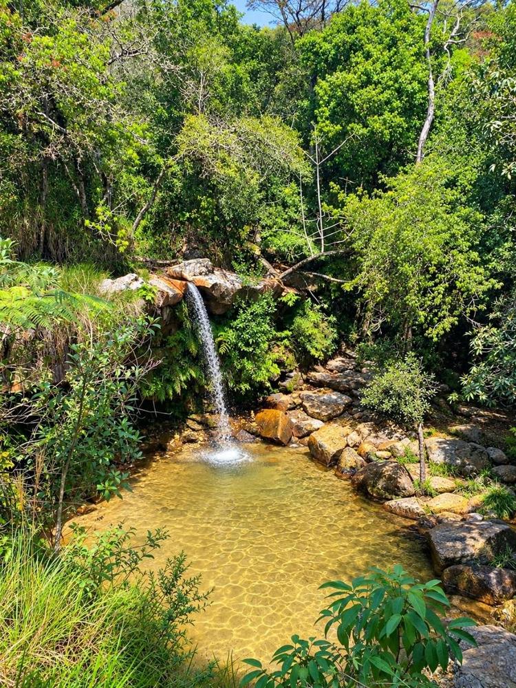 Cachoeira na mata